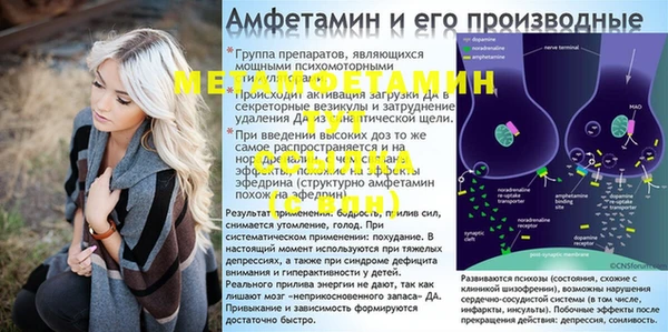 прущие грибы Липки