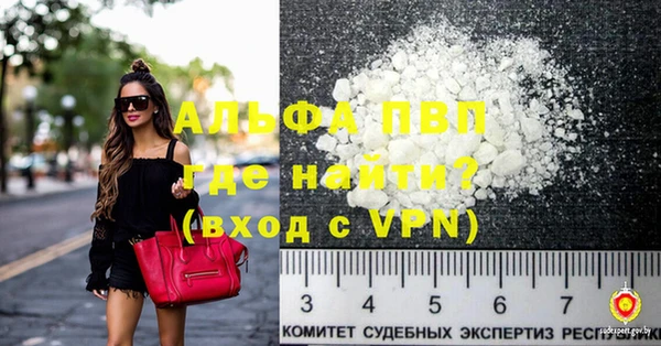 прущие грибы Липки