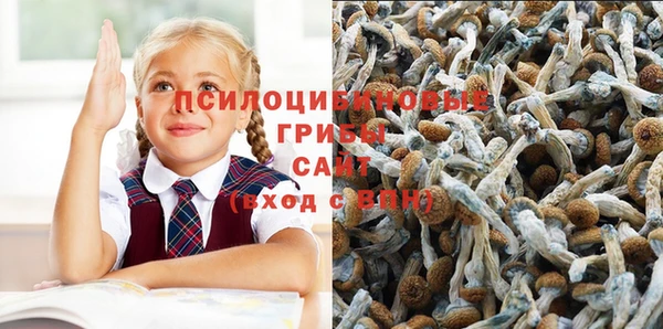 прущие грибы Липки