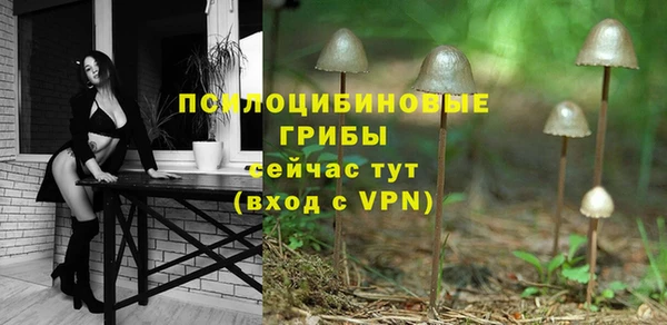 прущие грибы Лихославль