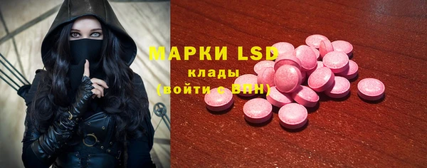 прущие грибы Липки