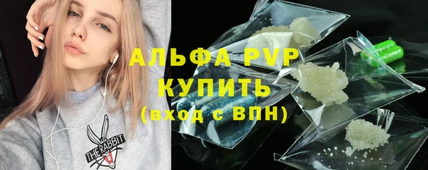 прущие грибы Липки