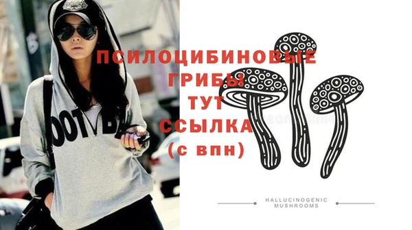 шишки Лиски