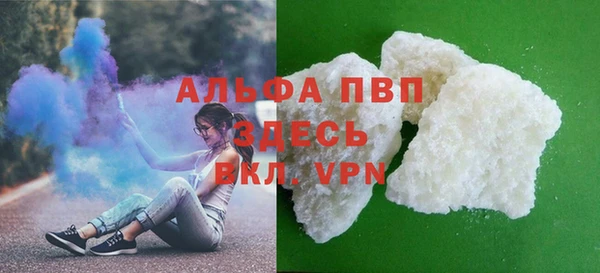 прущие грибы Липки